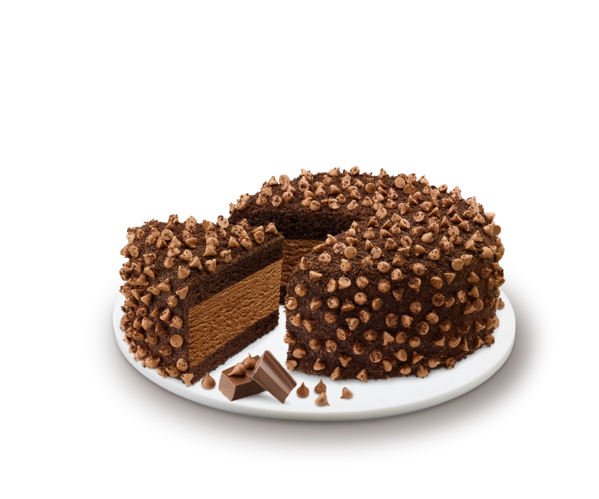 chocochips ice cream cake